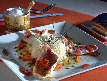 Hotel Mercure Arles Camargue