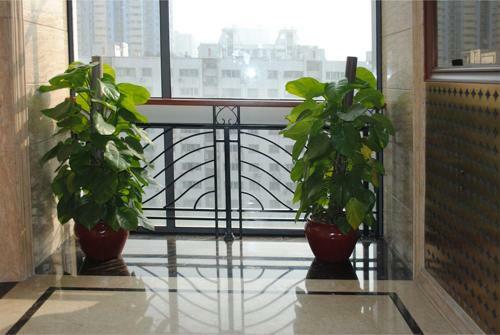 Guangzhou Bontai Aparthotel