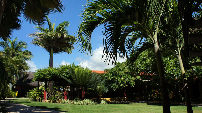 Hotel Aconchego Porto De Galinhas