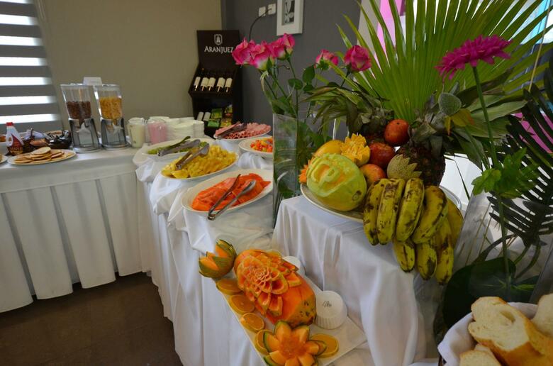 Hotel Camino Plaza