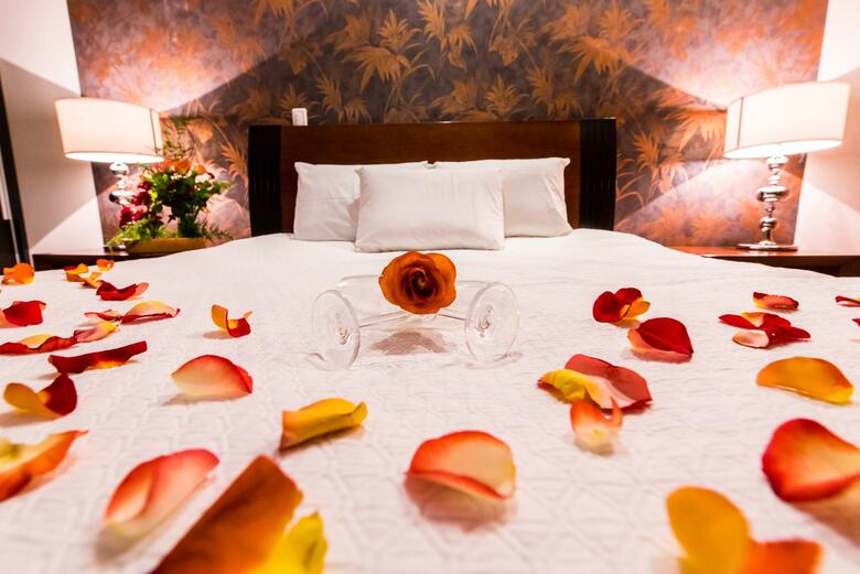 Hotel Camino Plaza