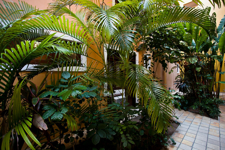 Apart Hotel Casa Grande