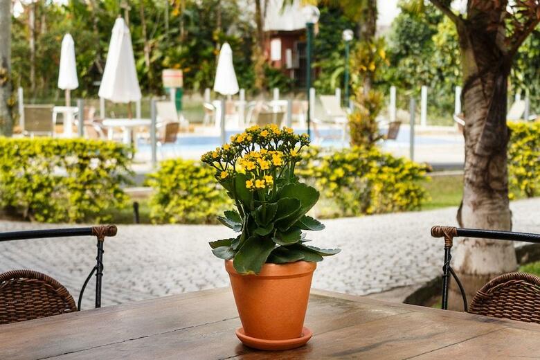 Hotel Quinta Da Bica D Agua