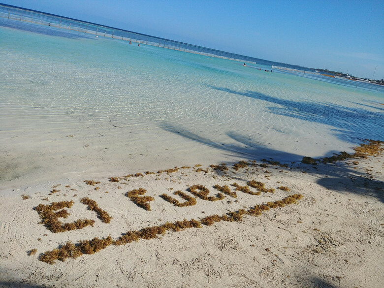Hotel El Fuerte Beach Resort