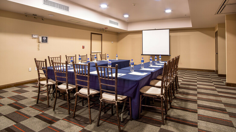 Hotel Four Points By Sheraton Saltillo