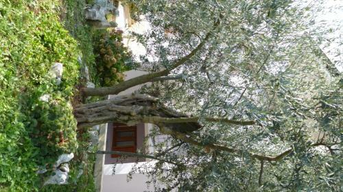 Apartments Libera