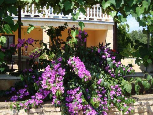 Apartments Villa Alice