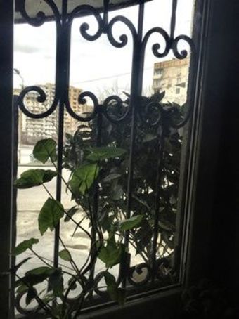 Crystal Palace Hotel