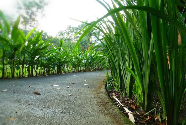 Hotel Ecoarenal