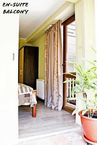 Hostal Red Fox Guest House