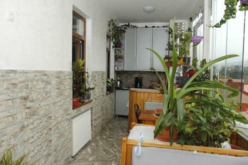 Hostal Guest House Gamardjoba
