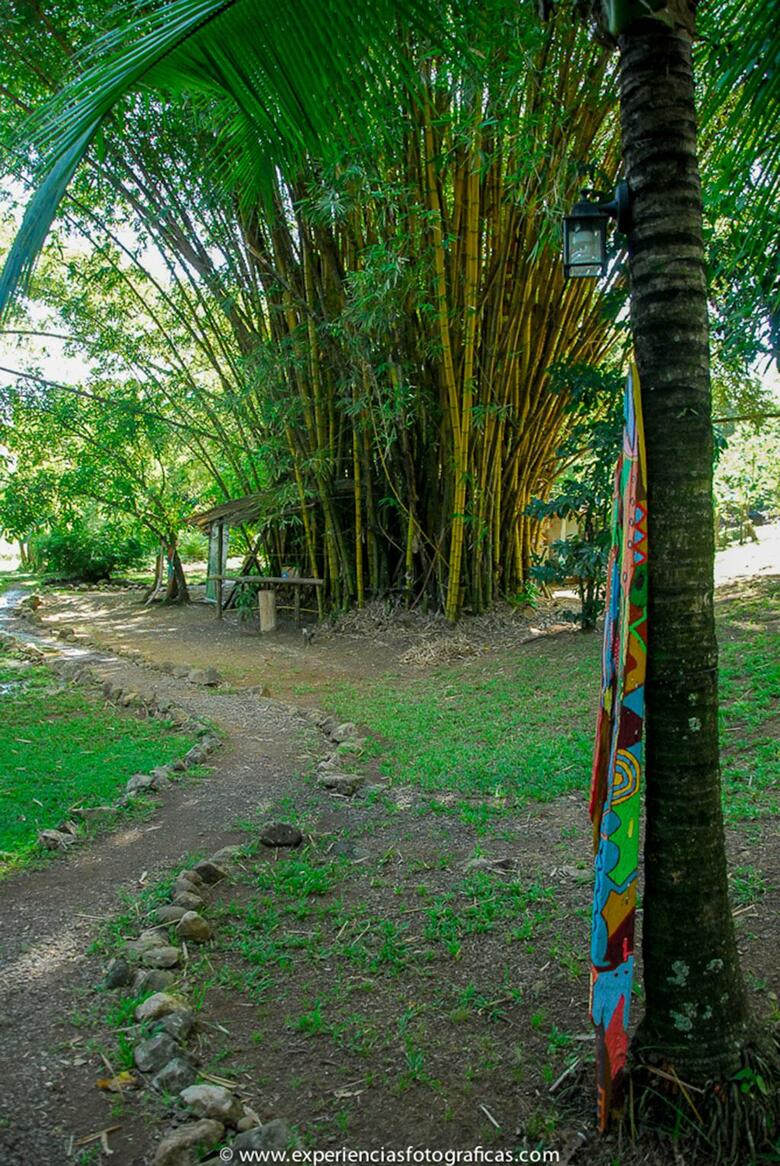 Ecovital Costa Rica