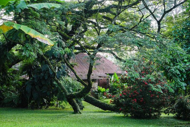 Ecovital Costa Rica