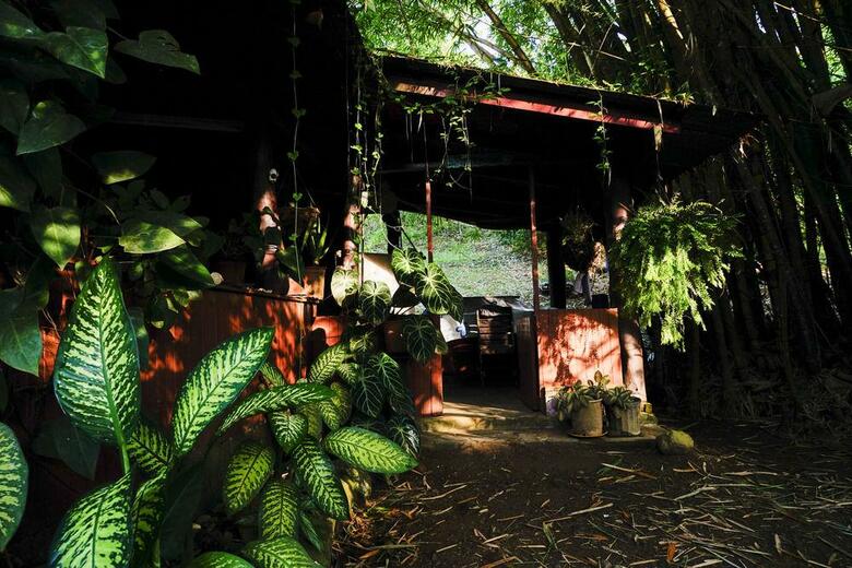 Ecovital Costa Rica