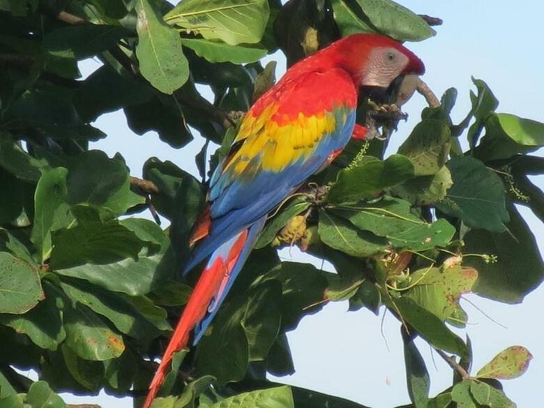 Ecovital Costa Rica