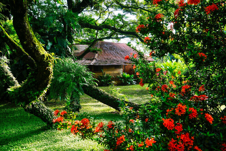 Ecovital Costa Rica