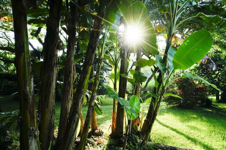 Ecovital Costa Rica