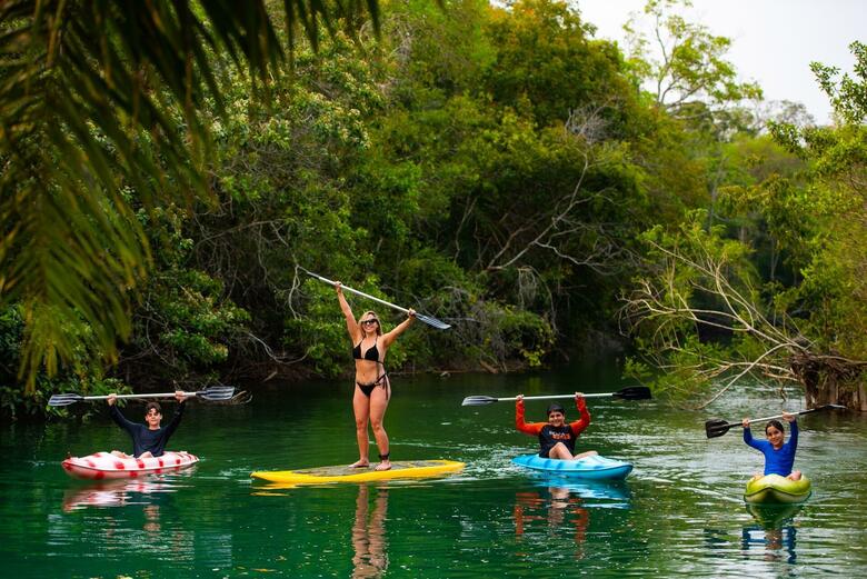 Hotel Carand� Eco Ville