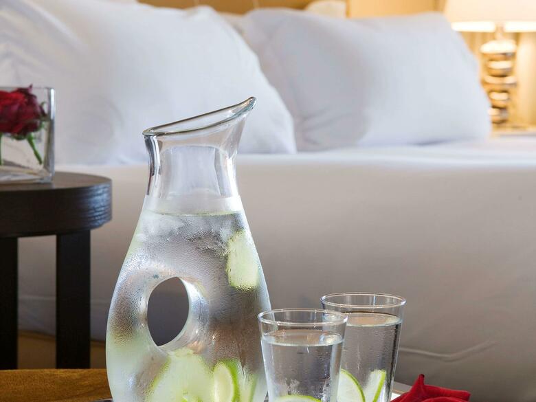 Hotel Sofitel Vieux Port
