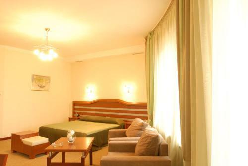 Hotel Vedzisi