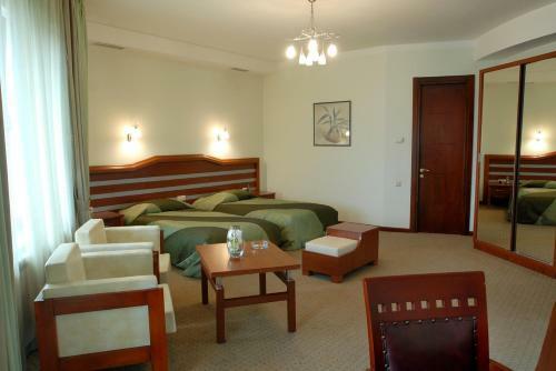Hotel Vedzisi