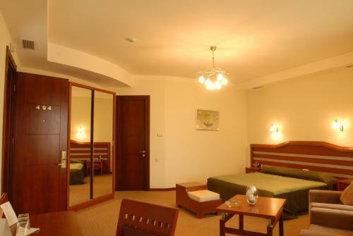 Hotel Vedzisi