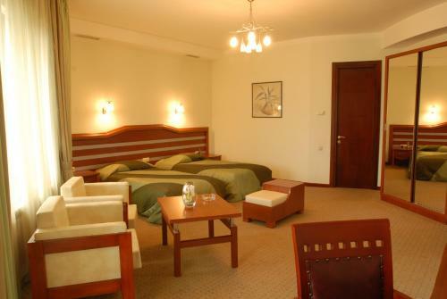 Hotel Vedzisi