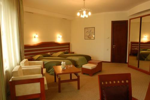 Hotel Vedzisi
