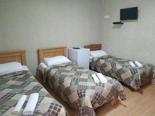 Hotel Lions