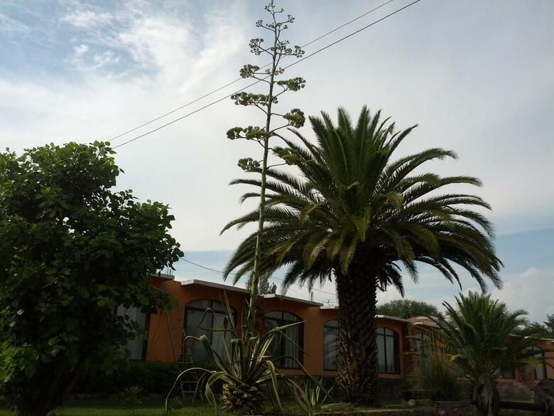 Hotel Dal�
