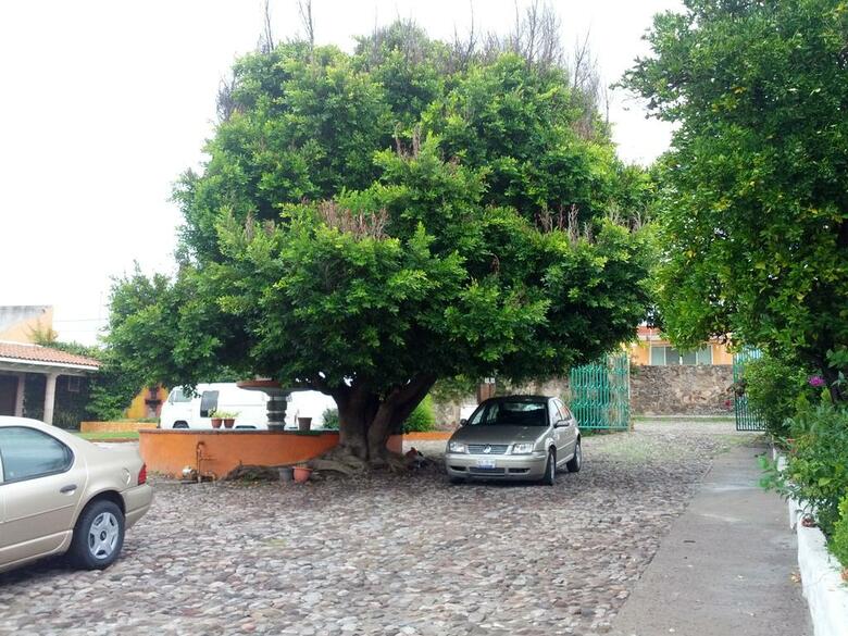 Hotel Dal�