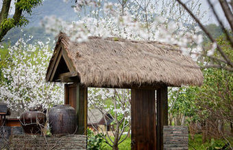 Hotel Hangzhou Roots Resort