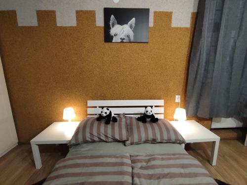 Euro-hostel Krakow