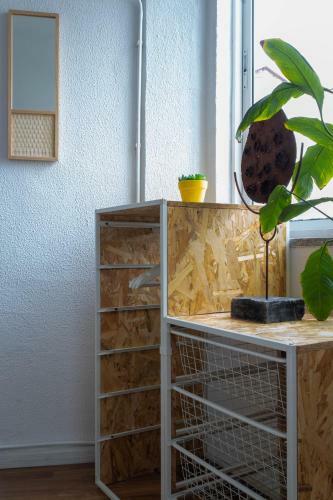 Hostal Paraiso Suites By Coloursrevolution