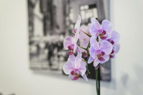 Apartamento Guestready - Never Say Never