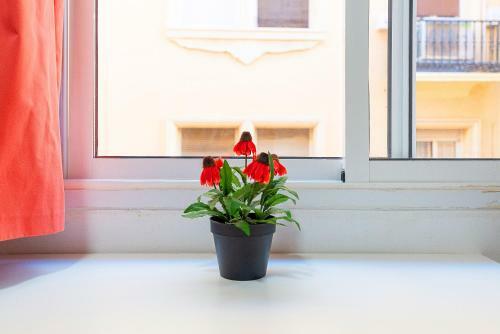 Apartamento Studies Soho Citycenter