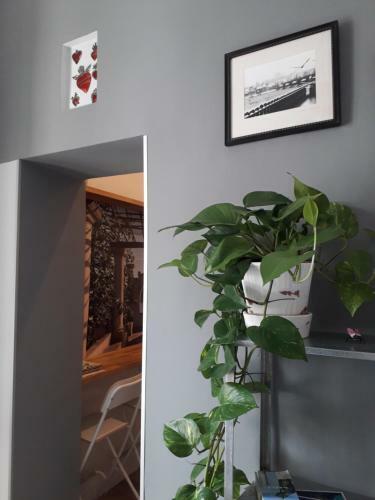 Apartamento Materdei Terrace