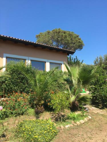 La Buganvillea