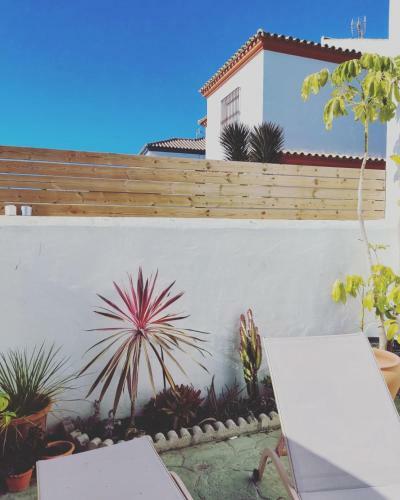 Casa Frida