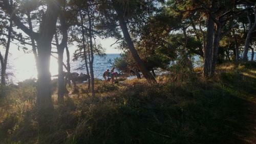 Sea View Apartment Next To A Meadow