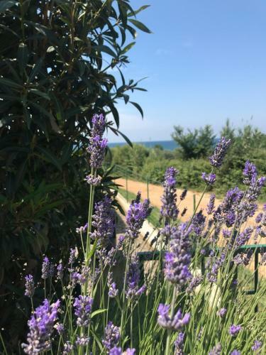 Sea View Apartment Next To A Meadow