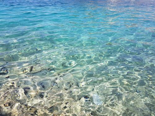 Apartamento Vacation House Sea Star