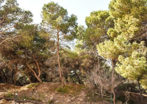 Apartamento Appartamento Sulla Spiaggia