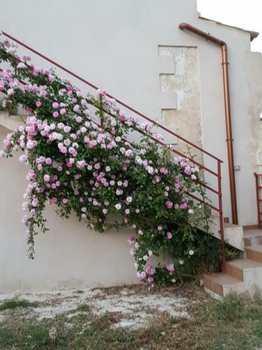 Apartamento Baglio Sole Degli Iblei