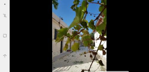 Apartamento Baglio Sole Degli Iblei