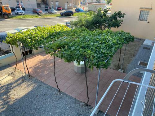 Green House Apartments
