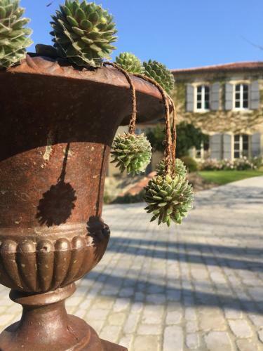 Hostal Maison Gascony