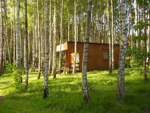 Lodge Domek W Borkowie