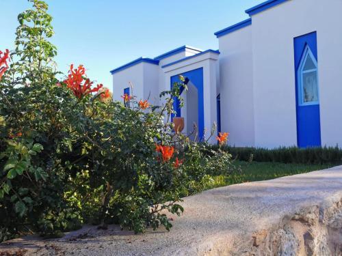 Hostal ??? ????? ????? / Dar Yanis