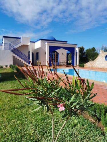 Hostal ??? ????? ????? / Dar Yanis